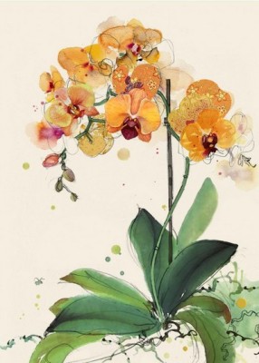 ΕΥΧΕΤΗΡΙΑ ΚΑΡΤΑ ORANGE ORCHIDS