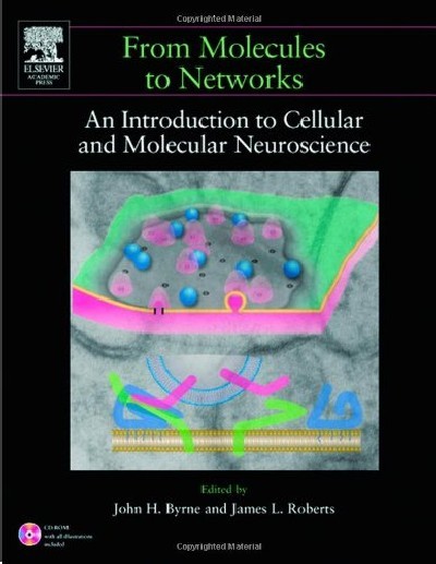 FROM MOLECULES TO NETWORKS