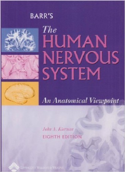 THE HUMAN NERVOUS SYSTEM