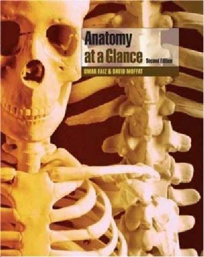 ANATOMY AT A GLANCE