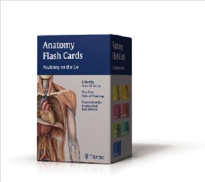 ANATOMY FLASH CARDS