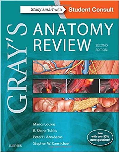 GRAY'S ANATOMY REVIEW