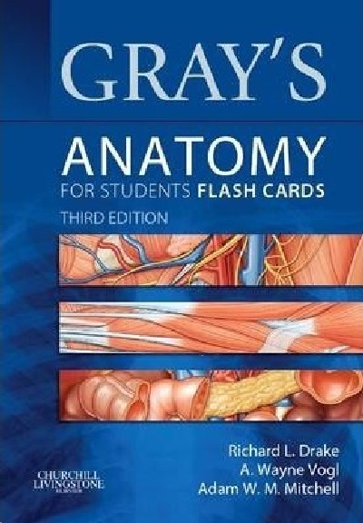 GRAY'S ANATOMY