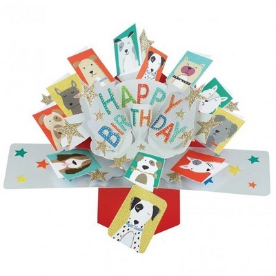 SECOND NATURE POP UPS BIRTHDAY CARD WIITH LETTERING AND DOGS